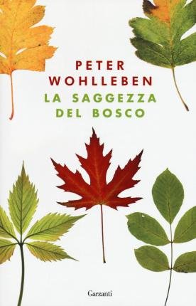 Cover for Peter Wohlleben · La Saggezza Del Bosco (Bok)
