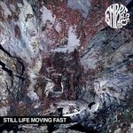 Cover for Empress Ad · Still Life Moving Fast (LP) (2014)