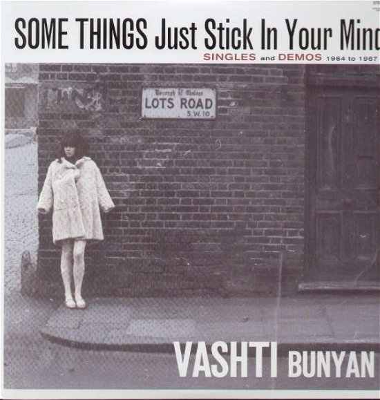Cover for Vashti Bunyan · Some Things Just Stick in You Mind: Singles (LP) (2007)