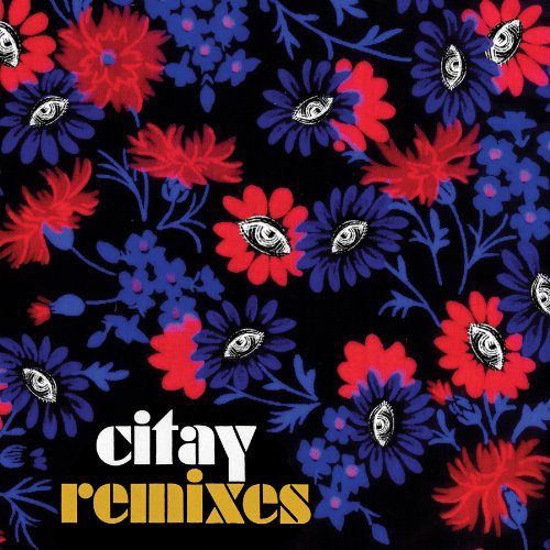 Cover for Citay · Remixes (LP) [Standard edition] (2009)