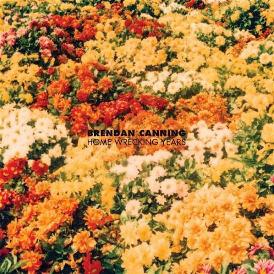Cover for Brendan Canning · Home Wrecking Years (LP) (2018)