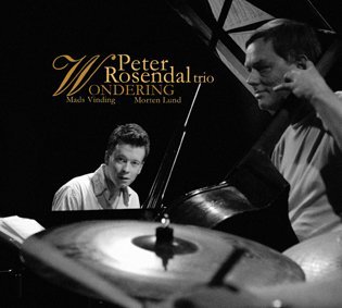 Cover for Peter Rosendal · Wondering (CD) [Japan Import edition] (2004)