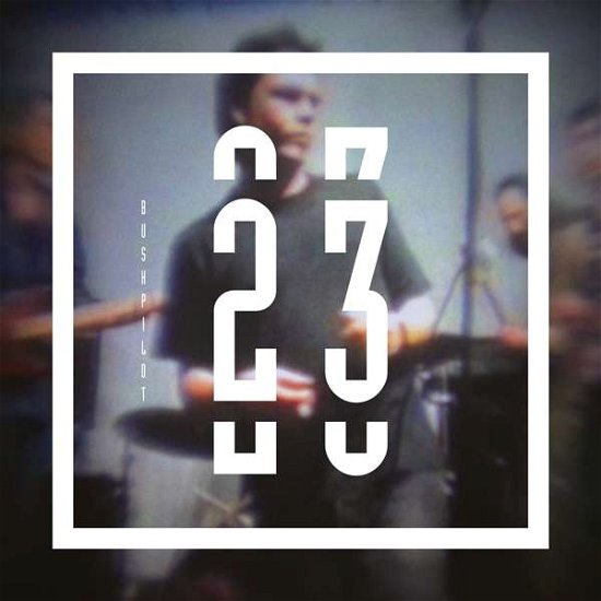 Cover for Bushpilot · 23 (LP) (2020)