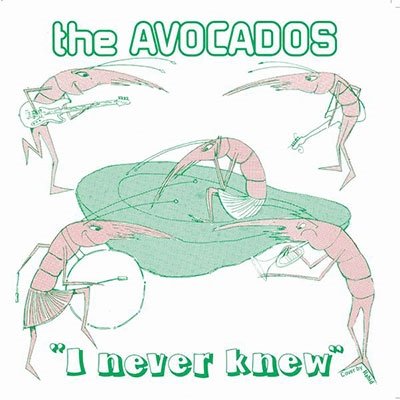 Cover for Avocados · I Never Knew (LP) (2022)