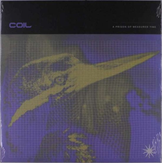 A Prison Of Measured Time - Coil - Musik - OLD EUROPA - 5902249002119 - 17. Dezember 2020