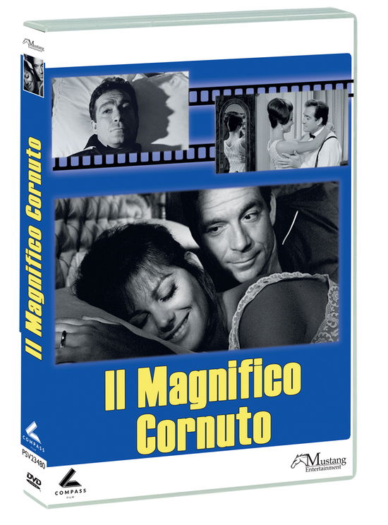 Cover for Magnifico Cornuto (Il) (DVD) (2024)