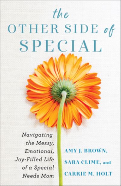Cover for Amy J Brown · The Other Side of Special – Navigating the Messy, Emotional, Joy–Filled Life of a Special Needs Mom (Paperback Book) (2023)