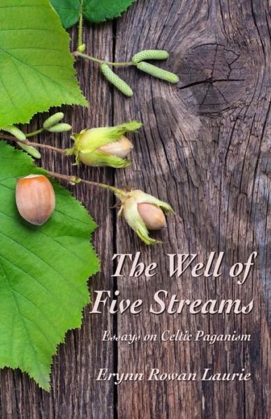 Cover for Erynn Rowan Laurie · The Well of Five Streams (Paperback Bog) (2015)