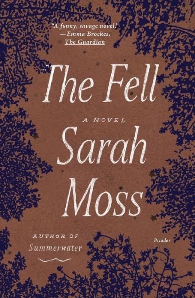 Cover for Sarah Moss · The Fell: A Novel (Paperback Bog) (2023)