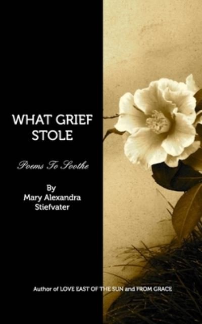 Mary Alexandra Stiefvater · What Grief Stole (Taschenbuch) (2018)