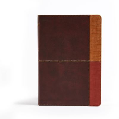 Cover for Holman Bible Staff Holman Bible Staff · NIV Rainbow Study Bible, Cocoa / Terra Cotta / Ochre LeatherTouch (Leather Book) (2016)