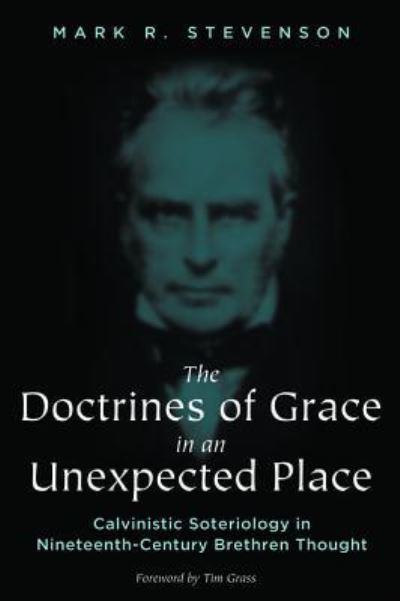 Doctrines of Grace in an Unexpected Place - Mark R. Stevenson - Bøger - Wipf & Stock Publishers - 9781498281119 - 10. marts 2017