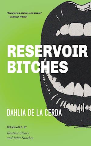 Cover for Dahlia de la Cerda · Reservoir Bitches (Book) (2024)
