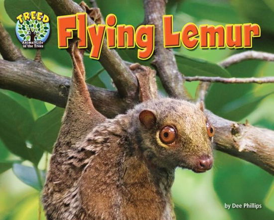 Cover for Dee Phillips · Flying Lemur (Science Slam: Treed-animal Life in the Trees) (Hardcover Book) (2013)