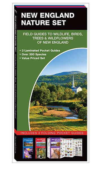 Cover for James Kavanagh · New England Nature Set: Field Guides to Wildlife, Birds, Trees &amp; Wild Flowers of New England - Nature Set (Book) (2018)