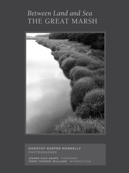 Cover for Dorothy Kerper Monnelly · Between Land and Sea: The Great Marsh: Photographs by Dorothy Kerper Monnelly (Hardcover Book) (2021)