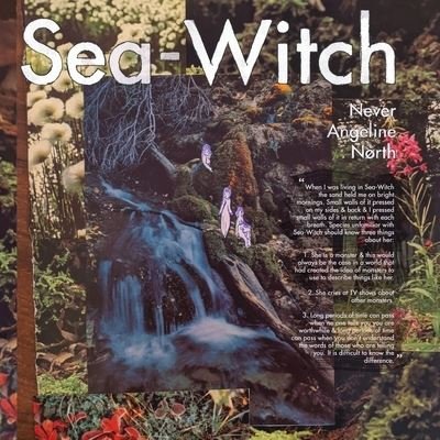 Cover for Never Angeline North · Sea-Witch (Taschenbuch) (2020)