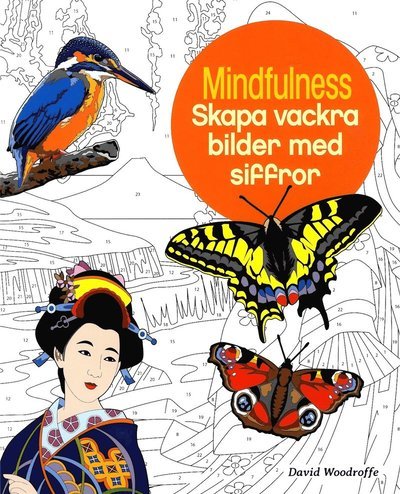 Mindfulness : skapa vackra bilder med siffror - David Woodroffe - Books - Barthelson Förlag - 9781785998119 - October 31, 2016