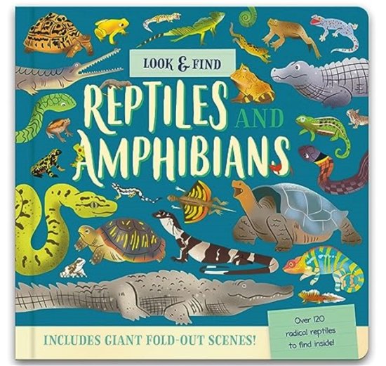 Cover for Laura Chamberlain · Look &amp; Find: Reptiles and Amphibians - Nature Look &amp; Find Board Books (Hardcover bog) (2023)