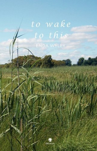 Cover for Enda Wyley · To Wake to This (Paperback Bog) (2009)