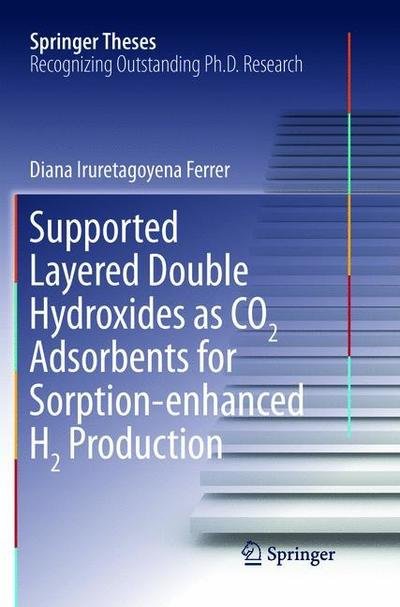 Supported Layered Double Hydroxides as CO2 Adsorbents for Sorption-enhanced H2 Production - Springer Theses - Diana Iruretagoyena Ferrer - Bøker - Springer International Publishing AG - 9783319823119 - 31. mai 2018