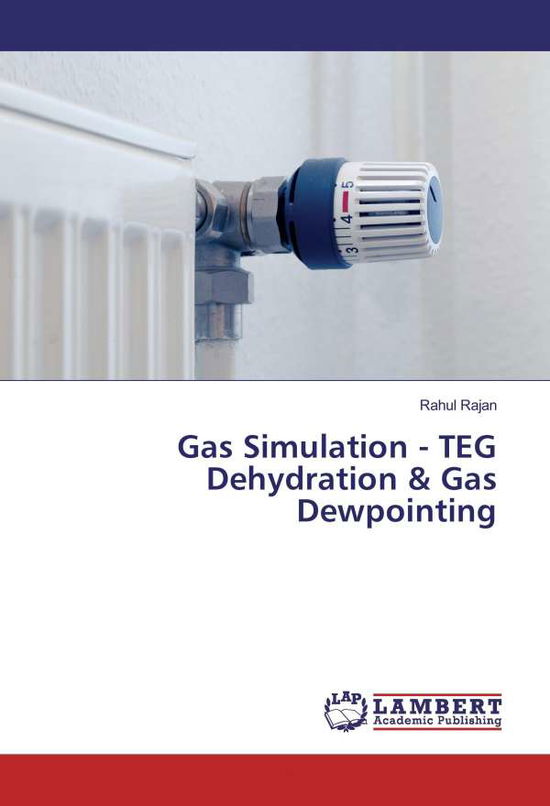 Cover for Rajan · Gas Simulation - TEG Dehydration (Bok)