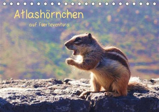 Cover for Luna · Atlashörnchen auf Fuerteventura (T (Bog)