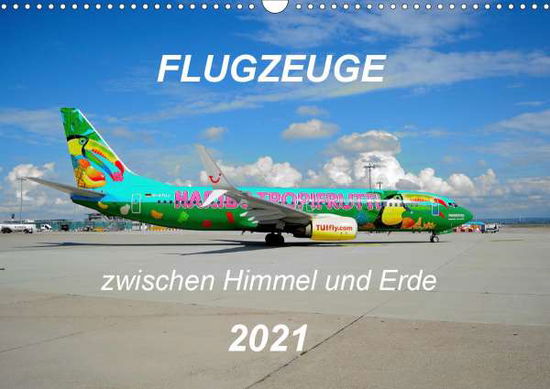 Cover for Merz · Flugzeuge zwischen Himmel und Erde (Book)