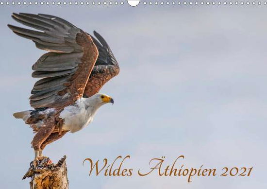 Cover for Hecker · Wildes Äthiopien (Wandkalender 2 (Book)