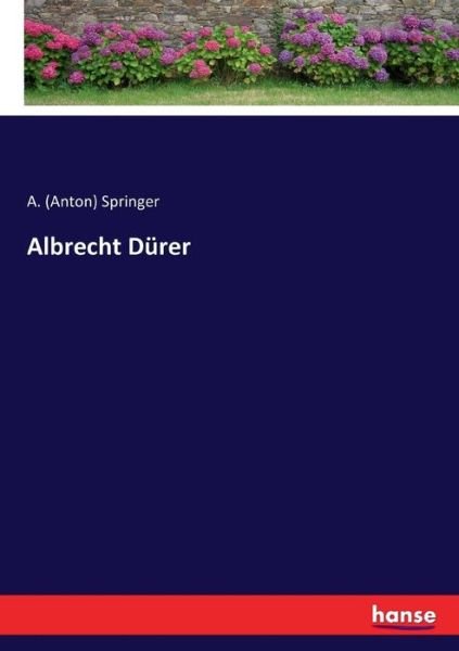 Cover for Springer · Albrecht Dürer (Book) (2017)
