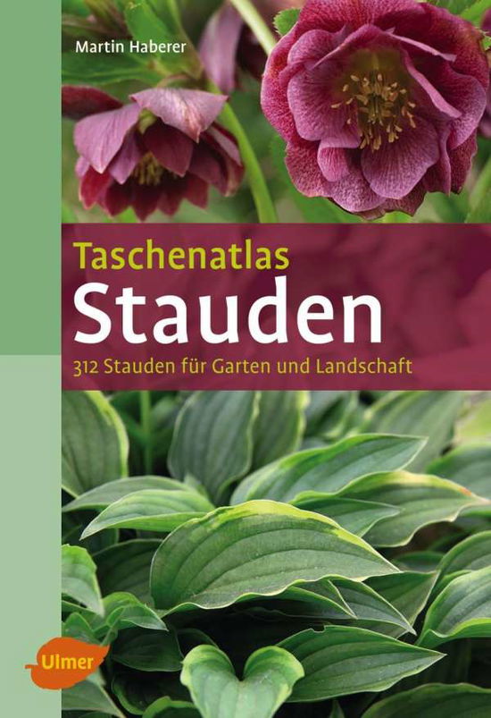 Cover for Haberer · Taschenatlas Stauden (Book)