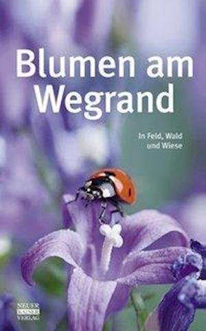 Cover for Neuer Kaiser Verlag · Blumen am Wegrand (Hardcover Book) (2012)