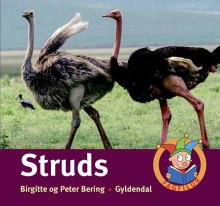 Cover for Peter Bering; Birgitte Bering · Fagfilur: Struds (Bound Book) [1er édition] (2016)