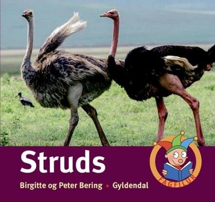 Cover for Peter Bering; Birgitte Bering · Fagfilur: Struds (Bound Book) [1.º edición] (2016)