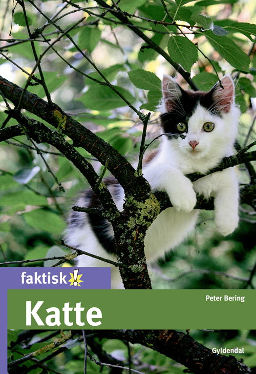 Faktisk!: Katte - Peter Bering - Kirjat - Gyldendal - 9788702239119 - maanantai 6. marraskuuta 2017