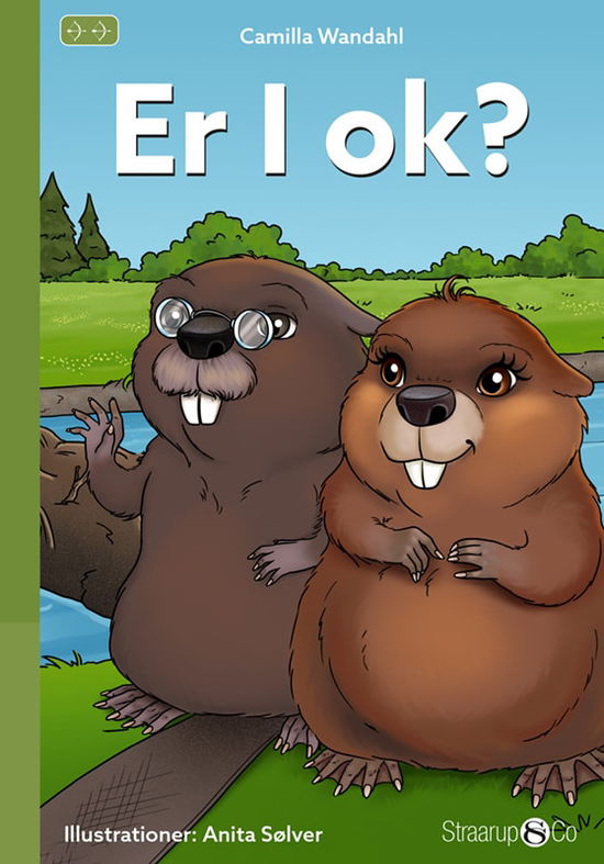 Cover for Camilla Wandahl · BUE: Er I ok? (Inbunden Bok) [1:a utgåva] (2022)