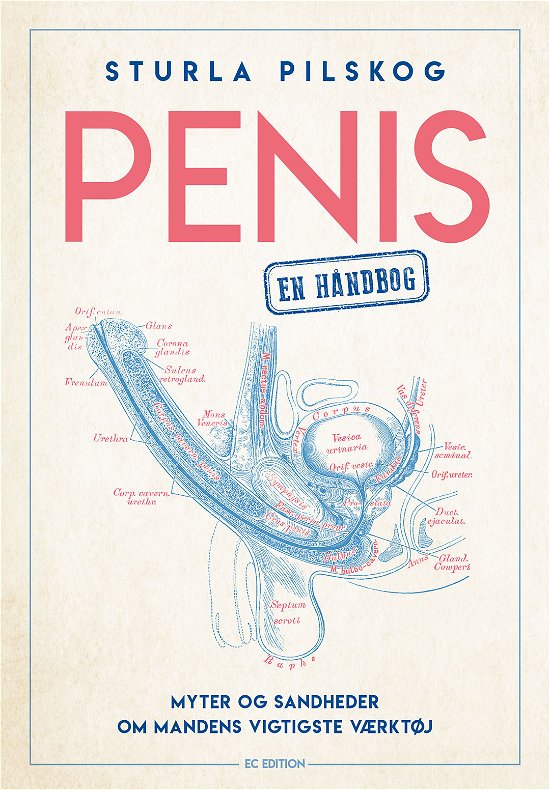 Cover for Sturla Pilskog · PENIS – en håndbog (Heftet bok) [1. utgave] (2020)