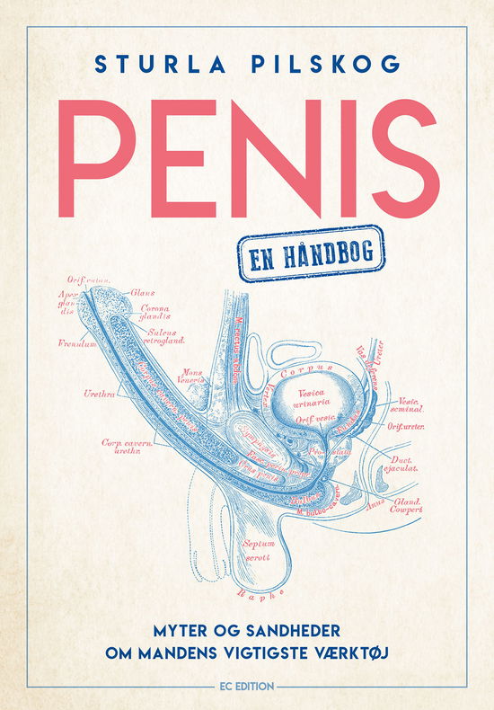 Cover for Sturla Pilskog · PENIS – en håndbog (Sewn Spine Book) [1. wydanie] (2020)