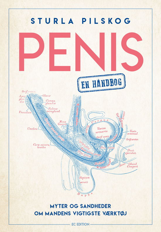 Cover for Sturla Pilskog · PENIS – en håndbog (Sewn Spine Book) [1st edition] (2020)