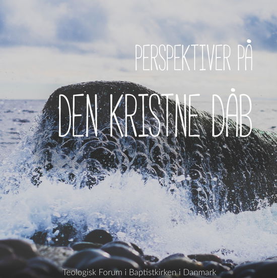 Cover for Johannes Aakjær Steenbuch · Perspektiver på den kristne dåb (Book) (2018)