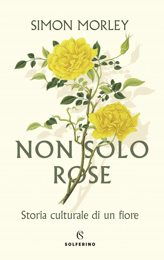 Cover for Simon Morley · Non Solo Rose. Storia Culturale Di Un Fiore (Book)