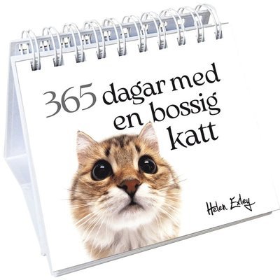 Cover for Pam Brown · 365 dagar med en bossig katt (Spiral Book) (2023)