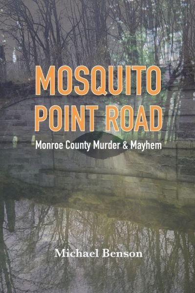 Cover for Michael Benson · Mosquito Point Road (Paperback Bog) (2020)
