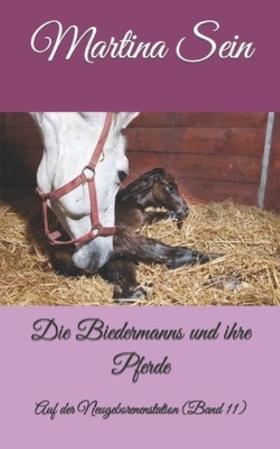 Cover for Martina Sein · Die Biedermanns und ihre Pferde: Auf der Neugeborenenstation - Die Biedermanns Und Ihre Pferde (Taschenbuch) (2022)