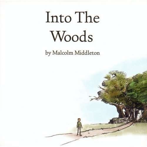 Into the Woods - Malcolm Middleton - Musik - ROCK - 0020286201120 - 16. august 2005