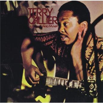 I Just Can't Help Myself - Terry Callier - Musik - UNIVERSAL - 0602438051120 - 