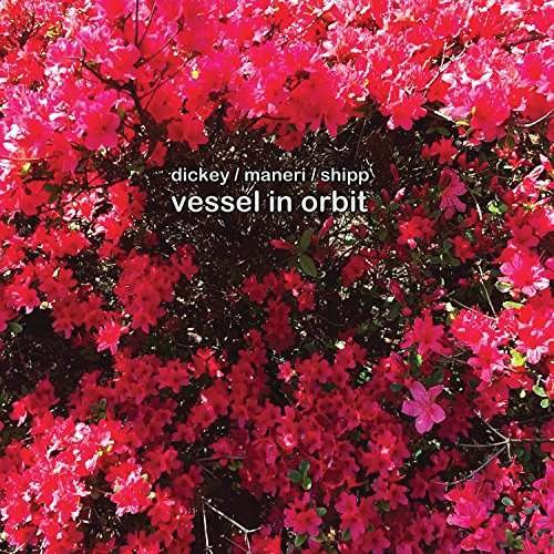 Cover for Matthew Shipp · Vessel In Orbit (CD) (2017)
