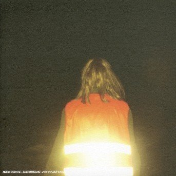 Cover for Scout Niblett · Kidnapped By Neptune (CD) (2022)