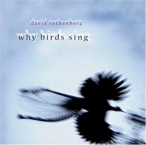 Cover for David Rothenberg · Why Birds (CD) (2005)