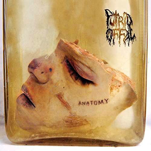 Cover for Putrid Offal · Anatomy (CD) [Limited edition] [Digipak] (2017)